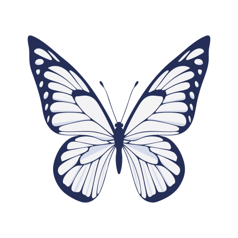 Butterfly png images free download