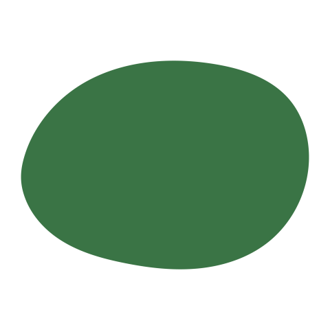 Green Oval Abstract Shape PNG Transparent