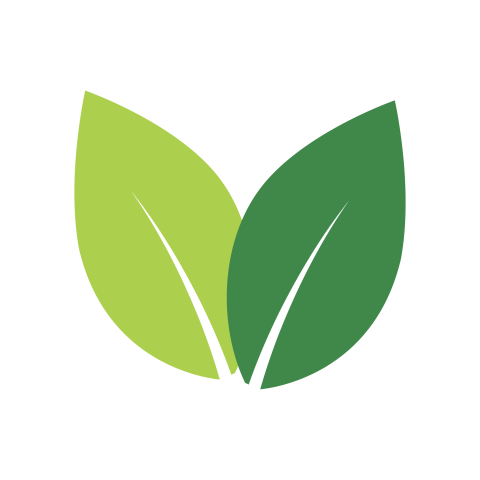 Green Twin Leaf PNG Icon Download