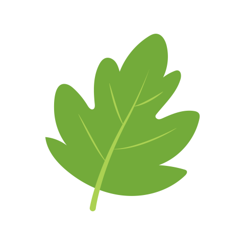Green leaf png vector free download